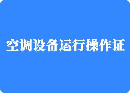 想c逼网页制冷工证