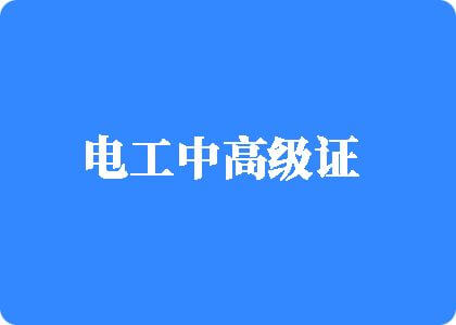 女人的小穴网站电工中高级证